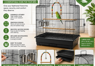 Bird-Cage-Image