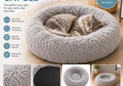 Cat-Bed-Image