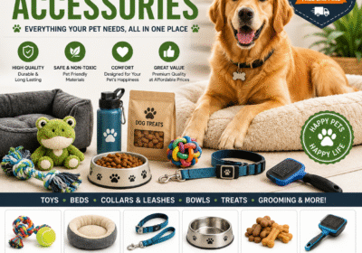 Dog-And-Pet-Image