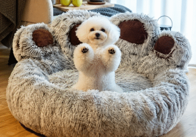 Dog-Bed-Image